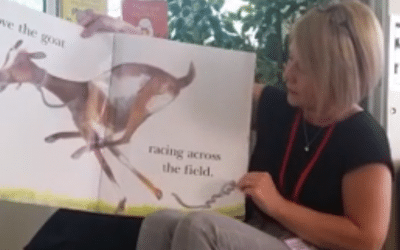 Stay and Play – Monday 4th May