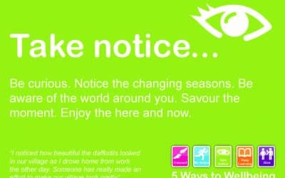 Stay and Play – Monday 18th May