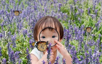 Stay and Play – Monday 15th June