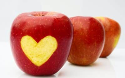 Stay and Play – Wednesday 2nd September