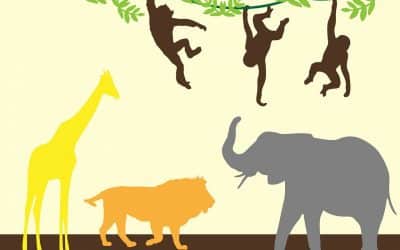 Stay and Play – Wednesday 19th August