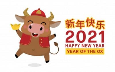 Happy Chinese New Year!