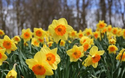 Stay and Play – Wednesday 3rd March